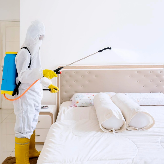 Pulvérisation insecticide rémanente sur tête de lit par un technicien en EPI complet